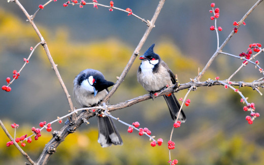 �1761344 �������(a): ����������:3840x2400